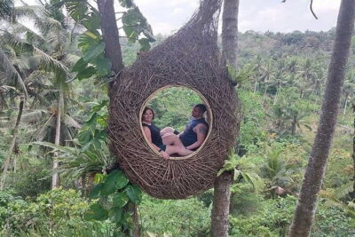 Full Day Private Tour from Tegenungan Waterfall to Tanah Lot - Tegalalang Rice Terraces: subak views you can photograph without fighting crowds
