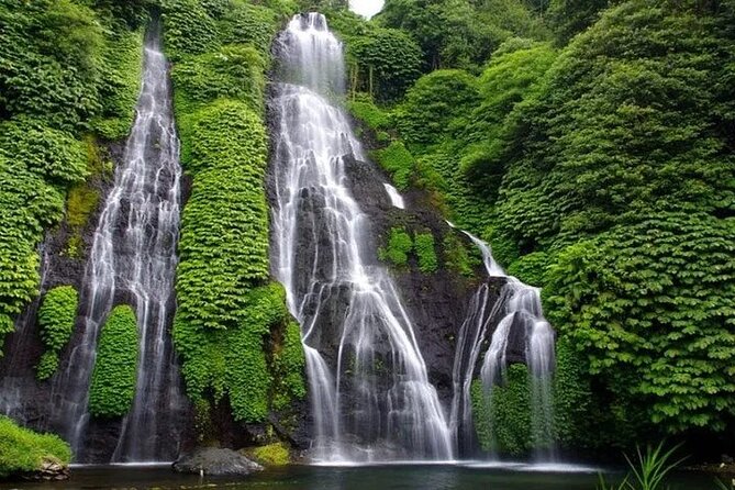 Full Day Private Tour in Bali - Taman Ayun Temple: Mengwi Kingdom Roots in the Middle of Bali