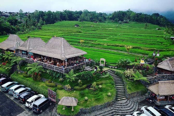 Full Day Private Water Temples Tour in Bali - A full-day water-temple route that’s actually practical