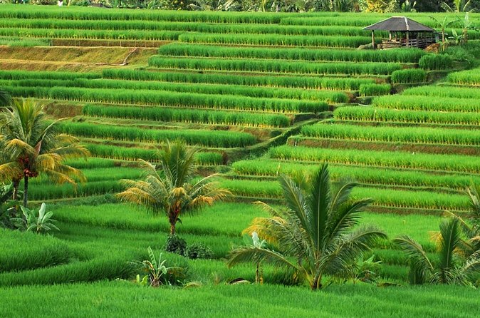 Full Day Private Water Temples Tour in Bali - Luhur Batukaru: a temple near Mount Batukaru’s foothills