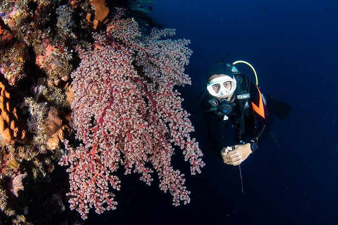 Full-Day Scuba Diving Experience of USAT Liberty in Tulamben - Why the USAT Liberty wreck keeps pulling people to Tulamben