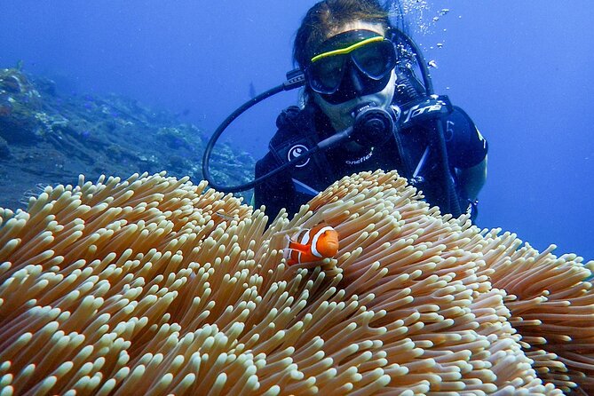 Full-Day Scuba Diving Experience of USAT Liberty in Tulamben - Your first underwater session at the USAT Liberty shipwreck