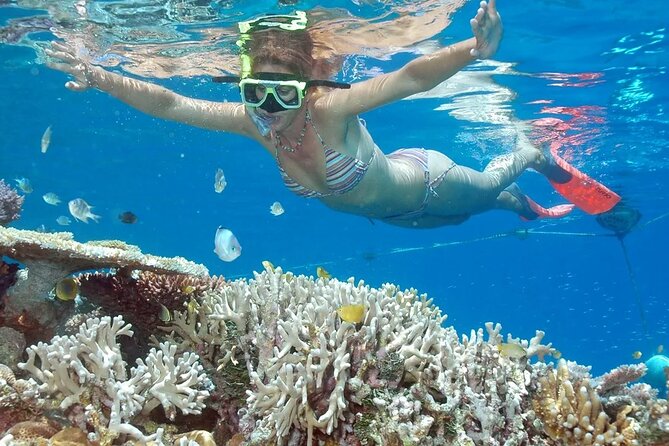 Full-Day Tour in Nusa Penida Island + Snorkeling Experience - Key Highlights You’ll Feel Fast