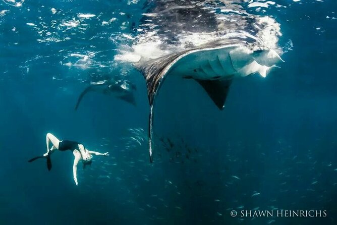 Full-Day Tour in Nusa Penida Island + Snorkeling Experience - Crystal Bay and Gamat Bay Snorkeling: What You Can Expect Underwater