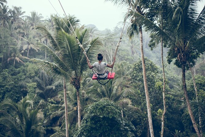 Full day Tour to Best of Ubud with jungle swing - Tegalalang Rice Terrace and the jungle swing: The views people come for