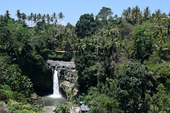 Full day Tour to Best of Ubud with jungle swing - Timing, pace, and customization in an 8–10 hour day