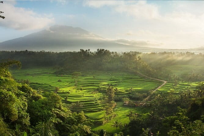Full Day Tour to Water Temples UNESCO Rice Terraces in Bali - UNESCO subak irrigation: what you’re really learning about