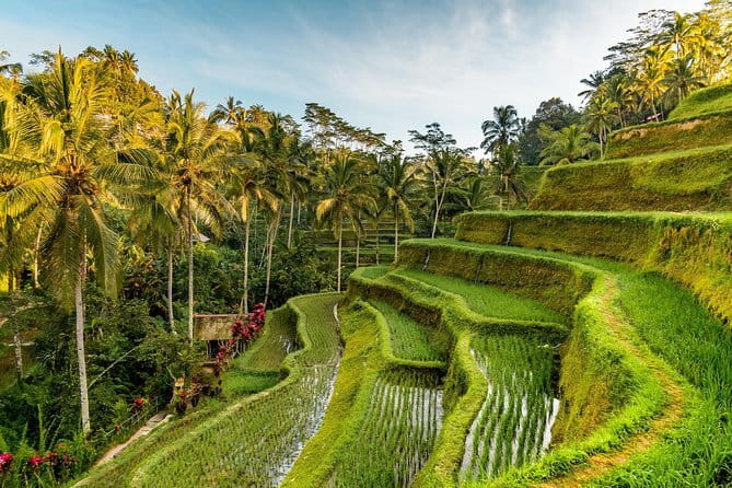 Full Day Tour to Water Temples UNESCO Rice Terraces in Bali - Luhur Batukaru Temple: serenity at the foot of Bali’s second highest mountain