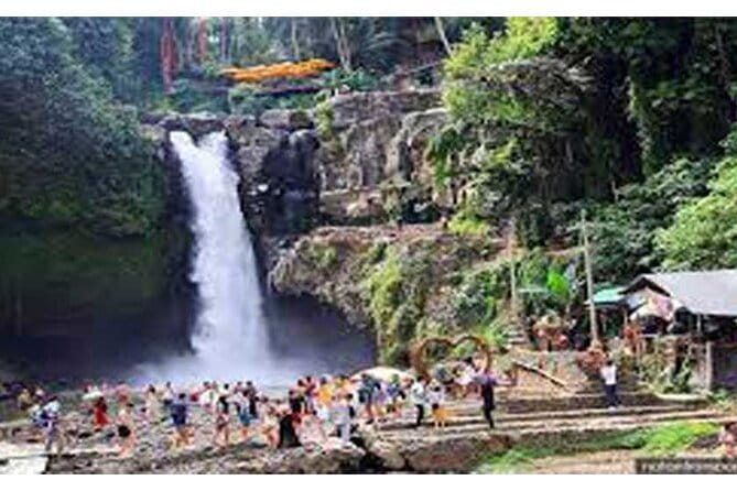 Full day Ubud and Tanah Lot tour - Why this full-day Ubud and Tanah Lot route feels easier