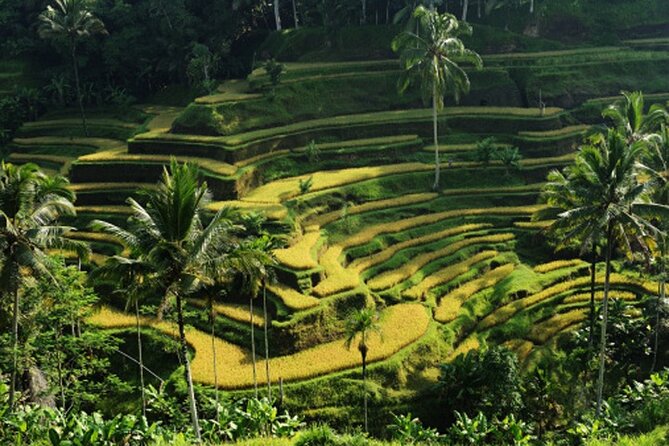 Full Day – Ubud Art Village and Mount Batur Kintamani with Lunch - Batuan Puseh Temple and the Kori Agung Gate (Balinese Temple Details, Not Just a View)