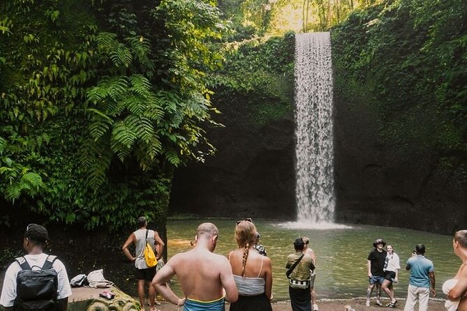Full Day Ubud Custom Private Tour with Hotel Pickup - Why this custom private Ubud day makes sense