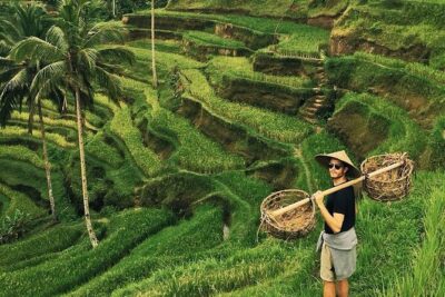Full Day Ubud Custom Private Tour with Hotel Pickup - Price and value: what $35.20 covers (and what it doesn’t)