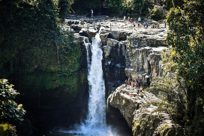 Full Day Ubud Tanah Lot Uluwatu All Inclusive Private Tour - Quick highlights for a long Bali day