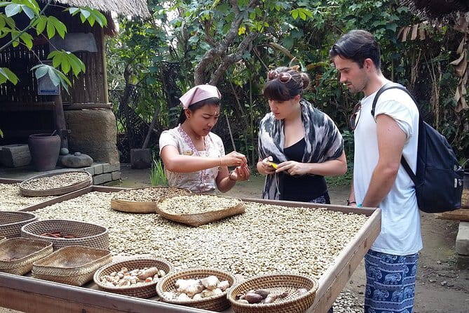 Full-Day Ubud Village including Mt Batur Tirta Empul and Sightseeing Tour - Key things I’d bet on from this tour