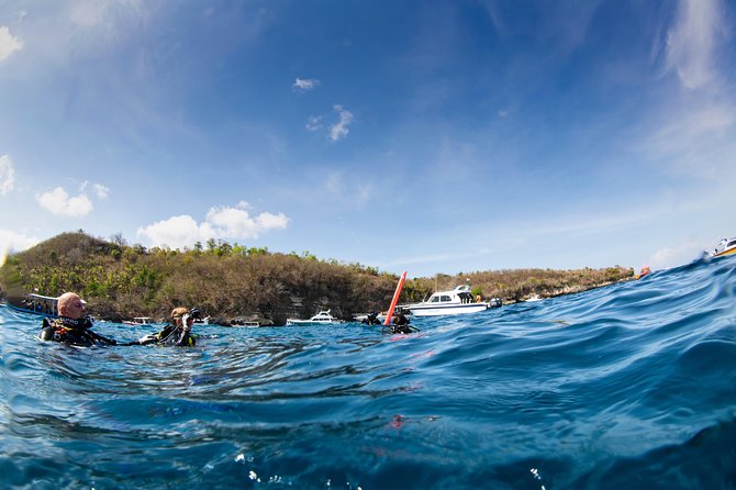 Fun Dive Nusa Penida Bali - For Certified Divers - Three Underwater Sessions: Manta Point, Crystal Bay, and SD