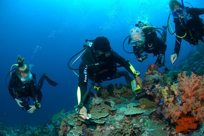 Fun Diving Tulamben Bali - For Certified Divers - Why the USAT Liberty wreck near Tulamben is the star show