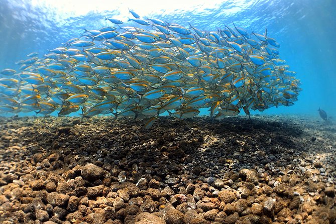 Fun Diving Tulamben Bali - For Certified Divers - Equipment, insurance, and food: the stuff that quietly makes the day worth it