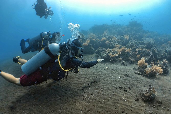 Fun Diving Tulamben Bali - For Certified Divers - What you’ll see at the wreck, and how the depth range changes the experience