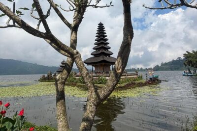 GAD Tanah Lot Tour - Jatiluwih rice terraces: the long walk that earns the views