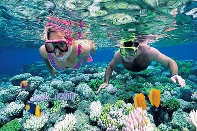Gate Heaven Tirta Gangga With Snorkeling Private Guided Tour - Boat time and what to do before you get in the water