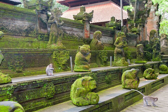 Goa Gajah / Elephant Cave Temple And Ubud Tour - All Inclusive - Lunch at d’Alas Warung: Where the Meal Comes With Jungle Views