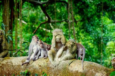 Goa Gajah / Elephant Cave Temple And Ubud Tour - All Inclusive - Ubud Monkey Forest Sanctuary: Temples and 700+ Long-Tailed Macaques