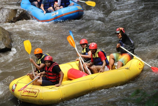 Green Bali Rafting Ticket And Transfer - Price and Value: What $23.07 Actually Buys