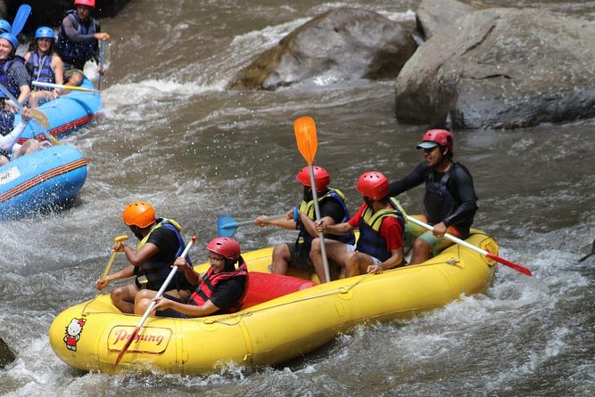 Green Bali Rafting Ticket And Transfer - Who Should Book This Private Rafting Ticket