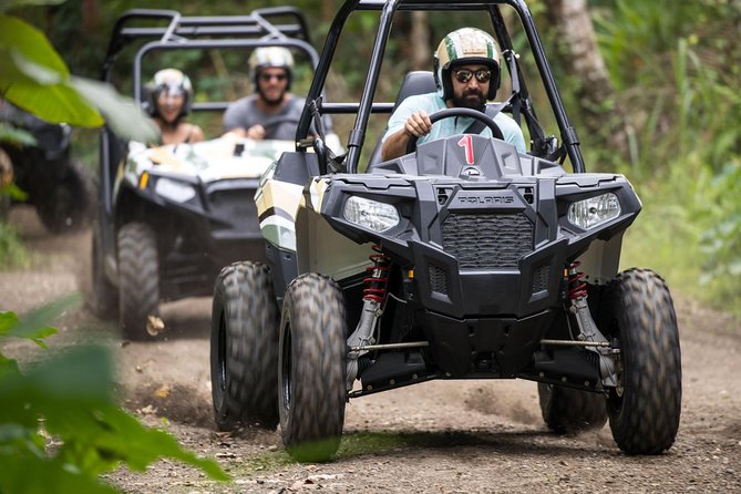 Half Day Jungle Buggies in Bali with Guide - Safety gear and insurance: what it means for your comfort level