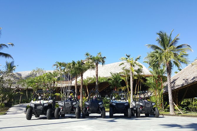 Half Day Jungle Buggies in Bali with Guide - Lunch break: why the included meal changes the whole day