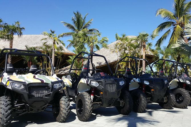 Half Day Jungle Buggies in Bali with Guide - Extra moments: what you might catch depending on the day