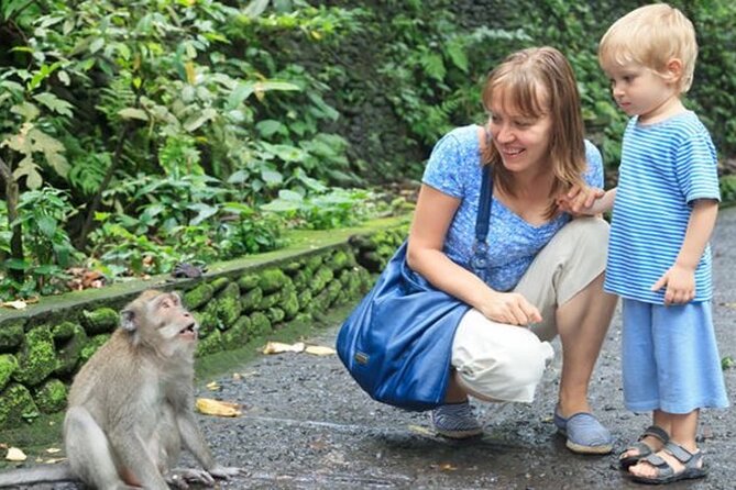Half Day Private Tour in Ubud - Private car + smart timing: why this format works