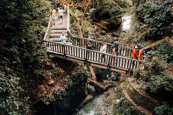 Half Day Private Tour in Ubud - Tirta Empul: the holy water temple and the meaning of the ritual