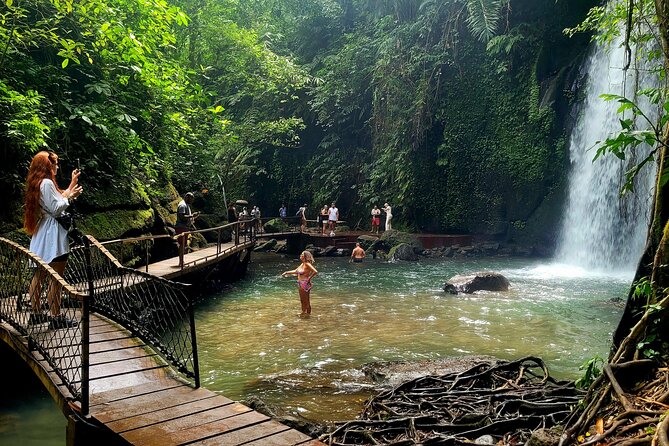 Half Day Tour Ubud Rice Terrace with Activities and Waterfall - Key highlights at a glance