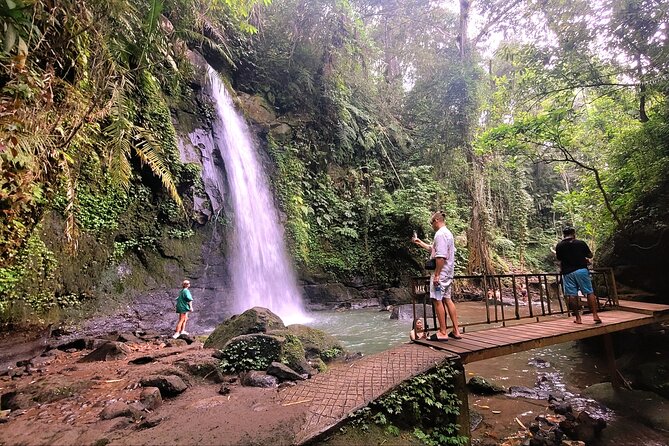 Half Day Tour Ubud Rice Terrace with Activities and Waterfall - Price and logistics in plain terms