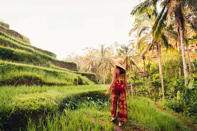 Half Day Tour Ubud Rice Terrace with Activities and Waterfall - Abian Desa Rice Terrace: what you really do there