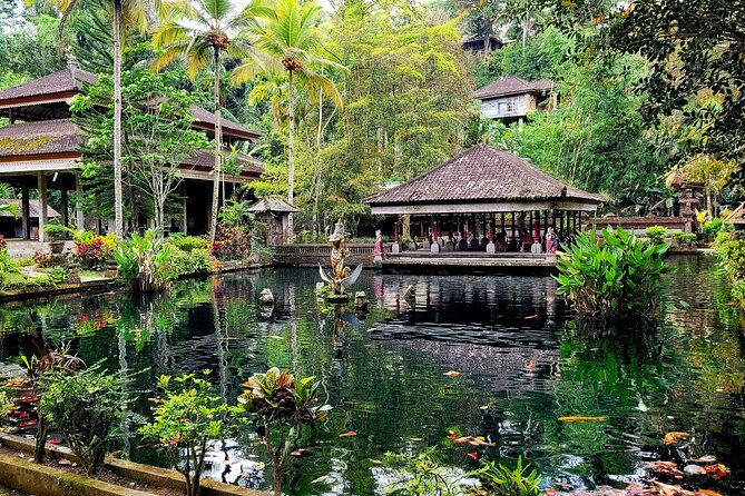 Half Day Tour Ubud Rice Terrace with Activities and Waterfall - Bonus stops if time allows: plantation, rice-view dining, or a temple
