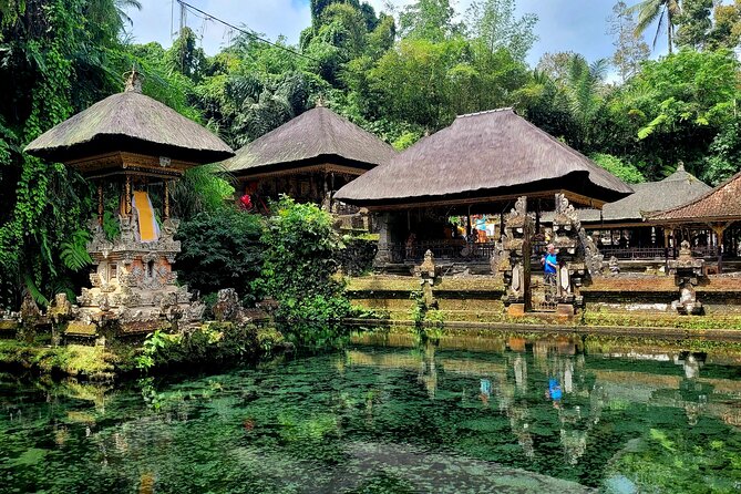 Half Day Tour Ubud Rice Terrace with Activities and Waterfall - What a half-day format gets you (and what it won’t)
