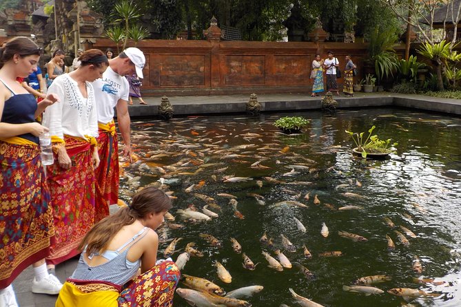 Half-Day Ubud Electric Cycling Tour to Tirta Empul Water Temple - Getting to the Start: Pickup, Minivan, and an 8:00 AM Start