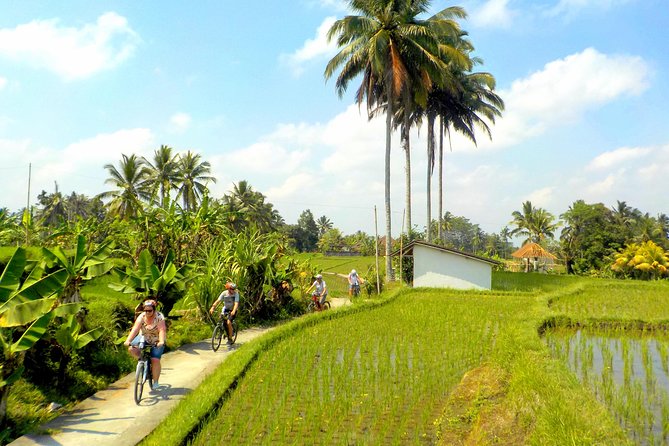 Half-Day Ubud Electric Cycling Tour to Tirta Empul Water Temple - The Coconut Water and Snack Stops That Make It Feel Local