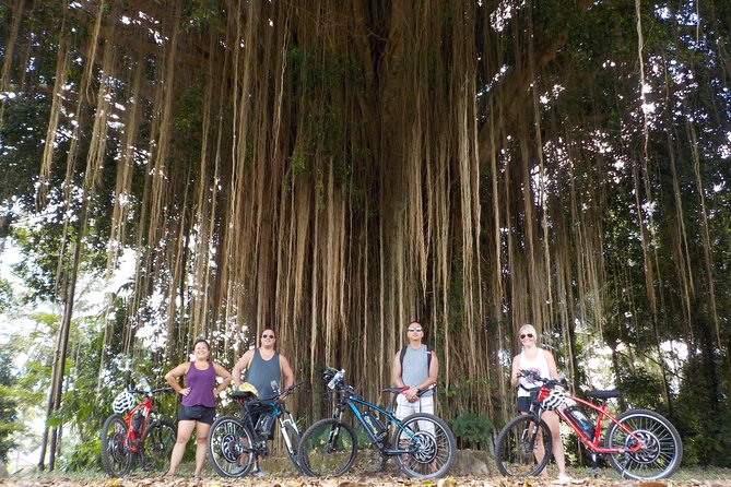 Half-Day Ubud Electric Cycling Tour to Tirta Empul Water Temple - The Bike and Guide Team: What Good Looks Like