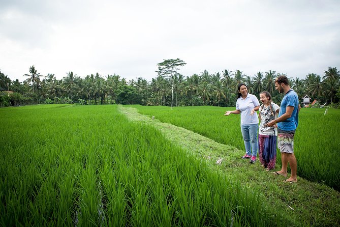 Half-Day Ubud Heritage Food Tour - Key highlights worth building your morning around