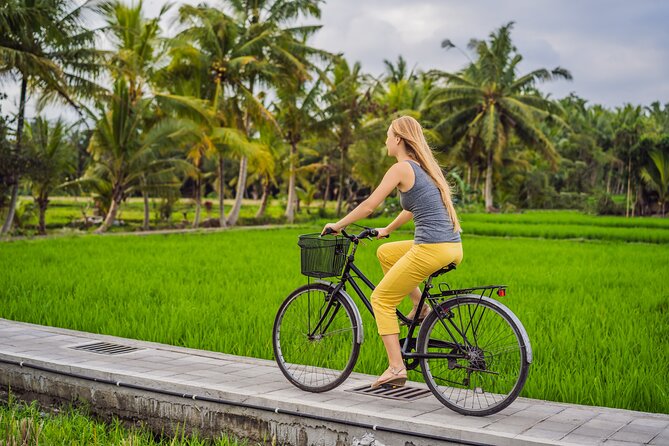 Half-Day Ubud Rice Field and Village Cycling Tour - Key things I’d pay attention to