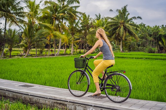 Half-Day Ubud Rice Field and Village Cycling Tour - Stops that turn farms and temples into meaning
