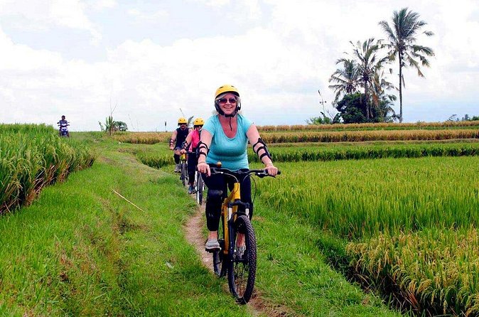Half-Day Ubud Rice Field and Village Cycling Tour - Price and value: what you’re really paying for