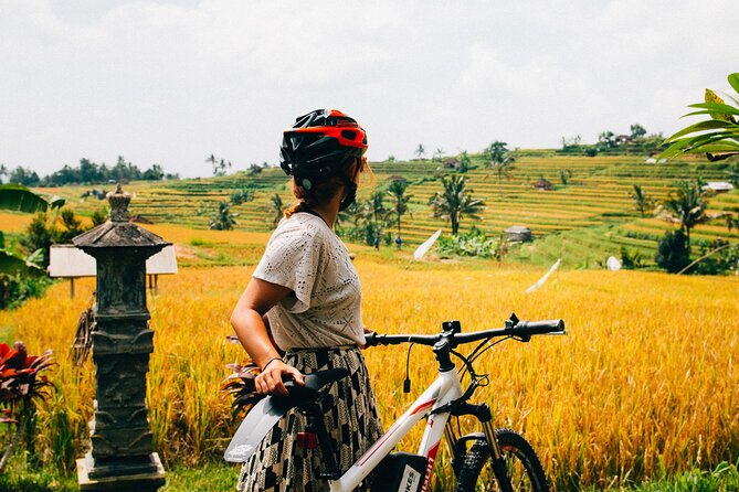 Half-Day Ubud Rice Field and Village Cycling Tour - Pickup, minivan transport, and the “no gear stress” payoff