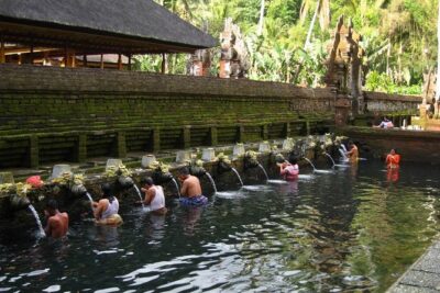 Half Day Ubud Tour - Private Guided Tour - Tegenungan Waterfall: A Short Stop That Still Delivers