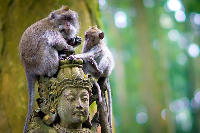 Half Day Ubud Tour: Ubud Unique Spots - Price and value: is $38.98 actually a good deal?