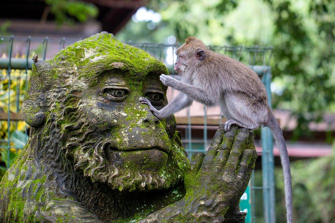 Half Day Ubud Tour: Ubud Unique Spots - Why the Sacred Monkey Forest Sanctuary works (even if you’ve seen monkeys before)