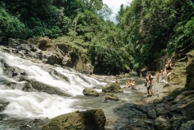 Half Day Ubud Waterfall Tour - Lunch at Layana Warung: Finish With Food and a Scenic Pause